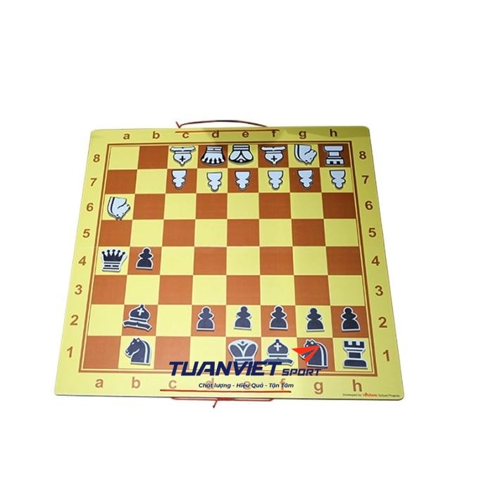 Bộ cờ vua giảng dạy