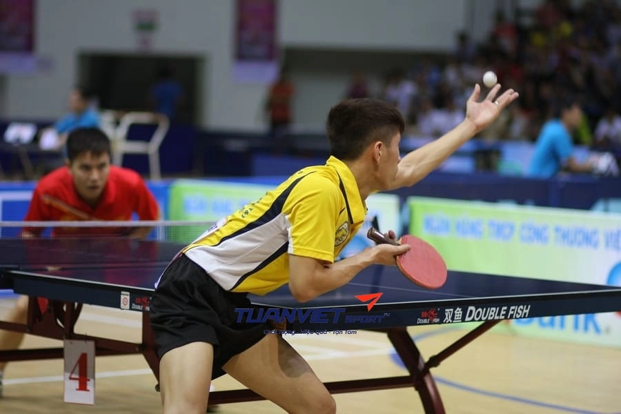 Hướng dẫn chơi bóng bàn cho người mới bắt đầu