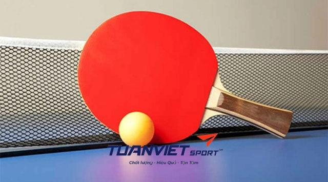 Dụng cụ thi đấu bóng bàn và những điều cần lưu ý