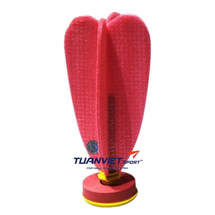 Quả cầu đá thi đấu ĐLS