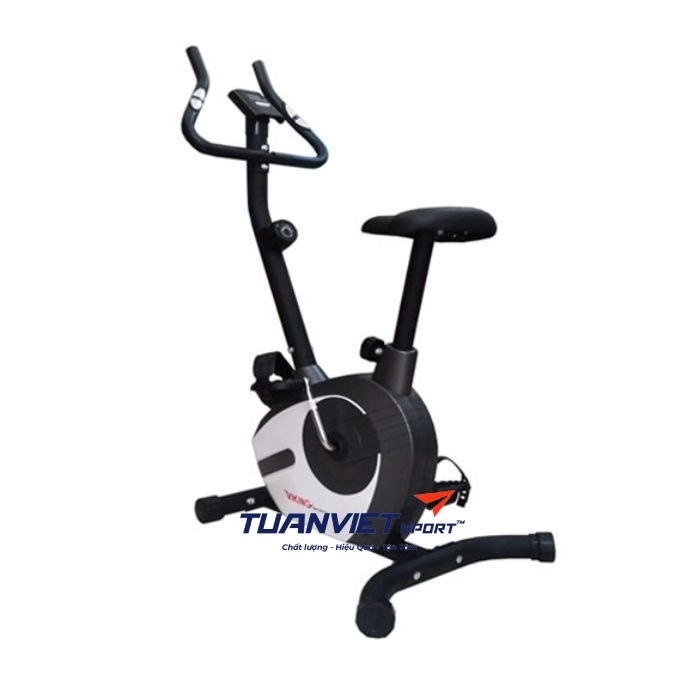 Xe đạp tập thể dục Viking VK-02