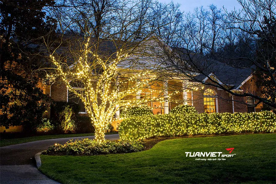 Lắp cảm biến đèn LED Noel trên nền cỏ nhân tạo
