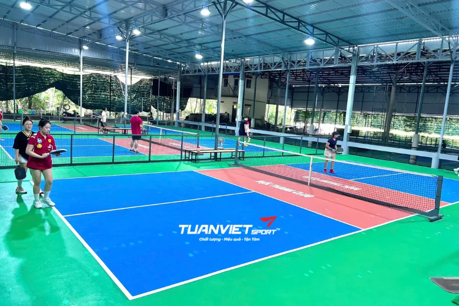 Top 8 Sân Pickleball Đồng Tháp Chất Lượng & Đáng Trải Nghiệm Nhất