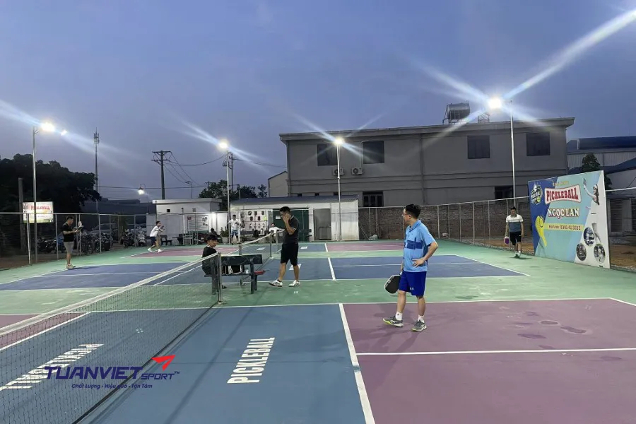 Danh sách các sân pickleball tỉnh Phú Thọ uy tín, giá tốt (Cập nhật mới sau sáp nhập 1/7/2025)