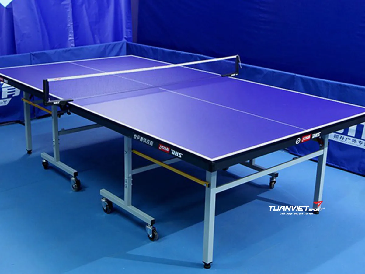 Bàn bóng bàn DHS 2023