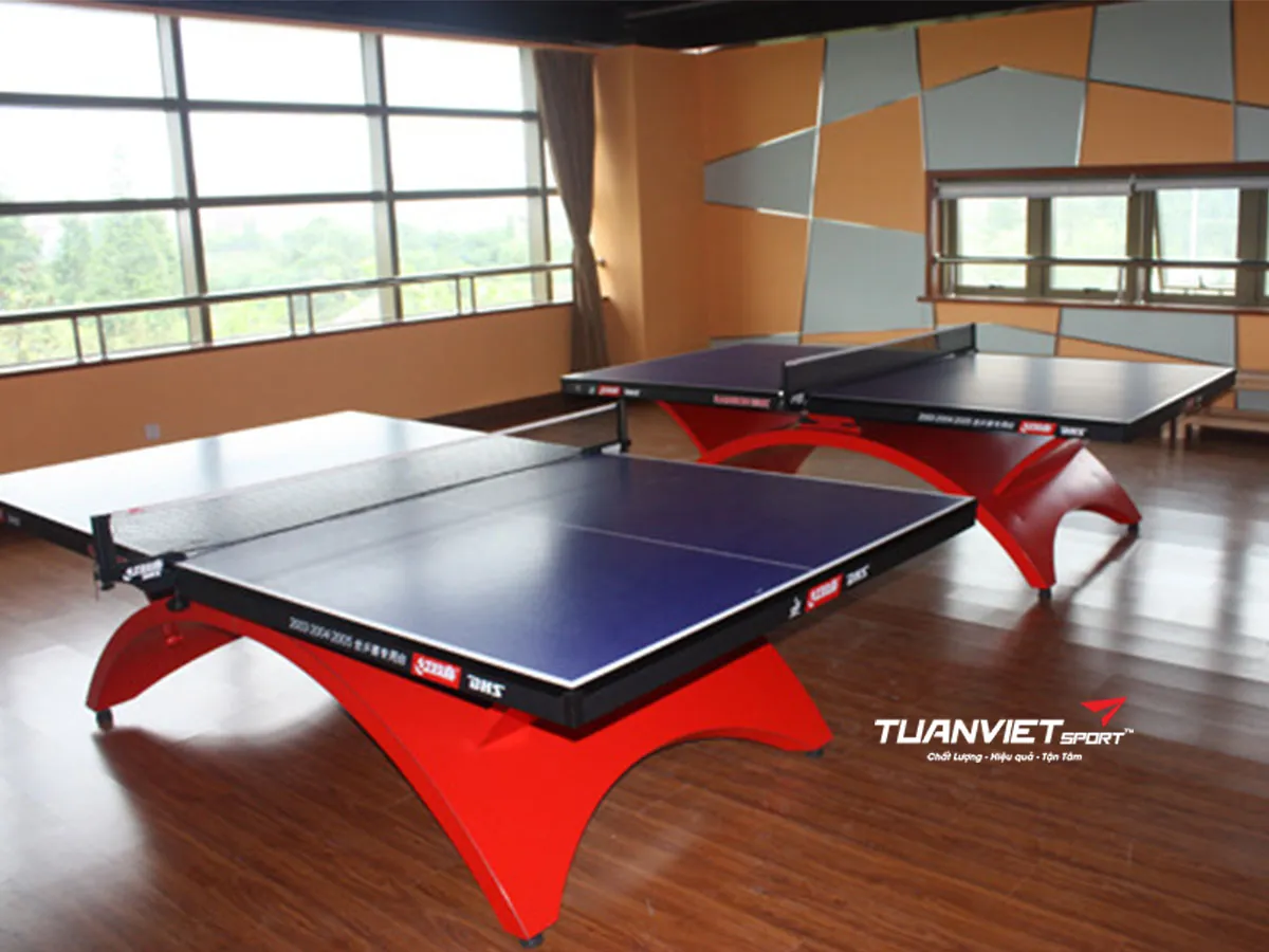 Bàn bóng bàn DHS Rainbow