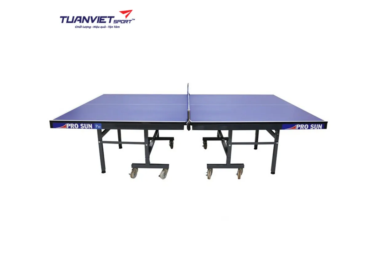 Bàn bóng bàn PRO SUN P22