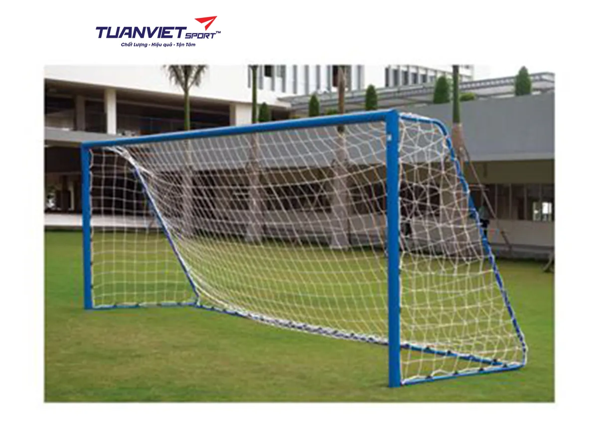 Khung thành bóng đá Vifa Sport 103630