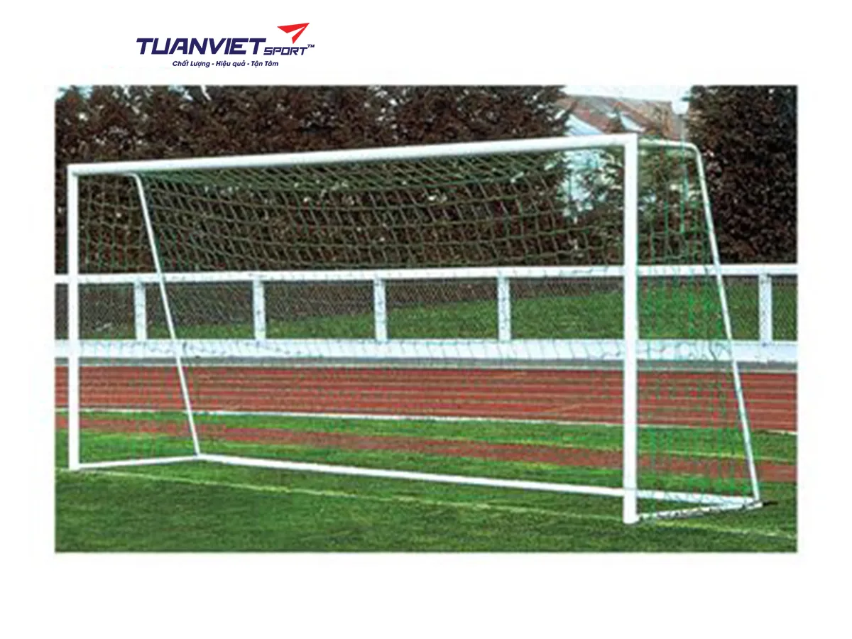 Khung thành bóng đá Vifa Sport 103668