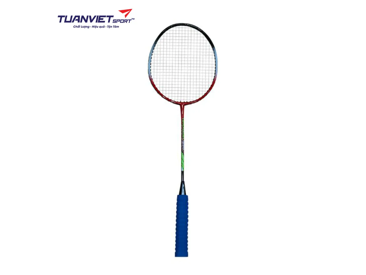 Vợt cầu lông Haotian HT-309