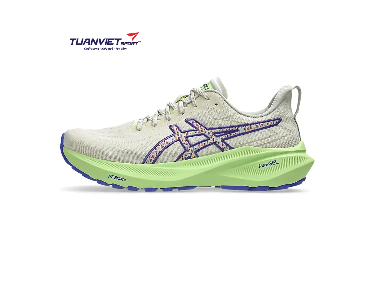 Giày Chạy Bộ Nam Asics GT-2000 13 TR 1011C042-300