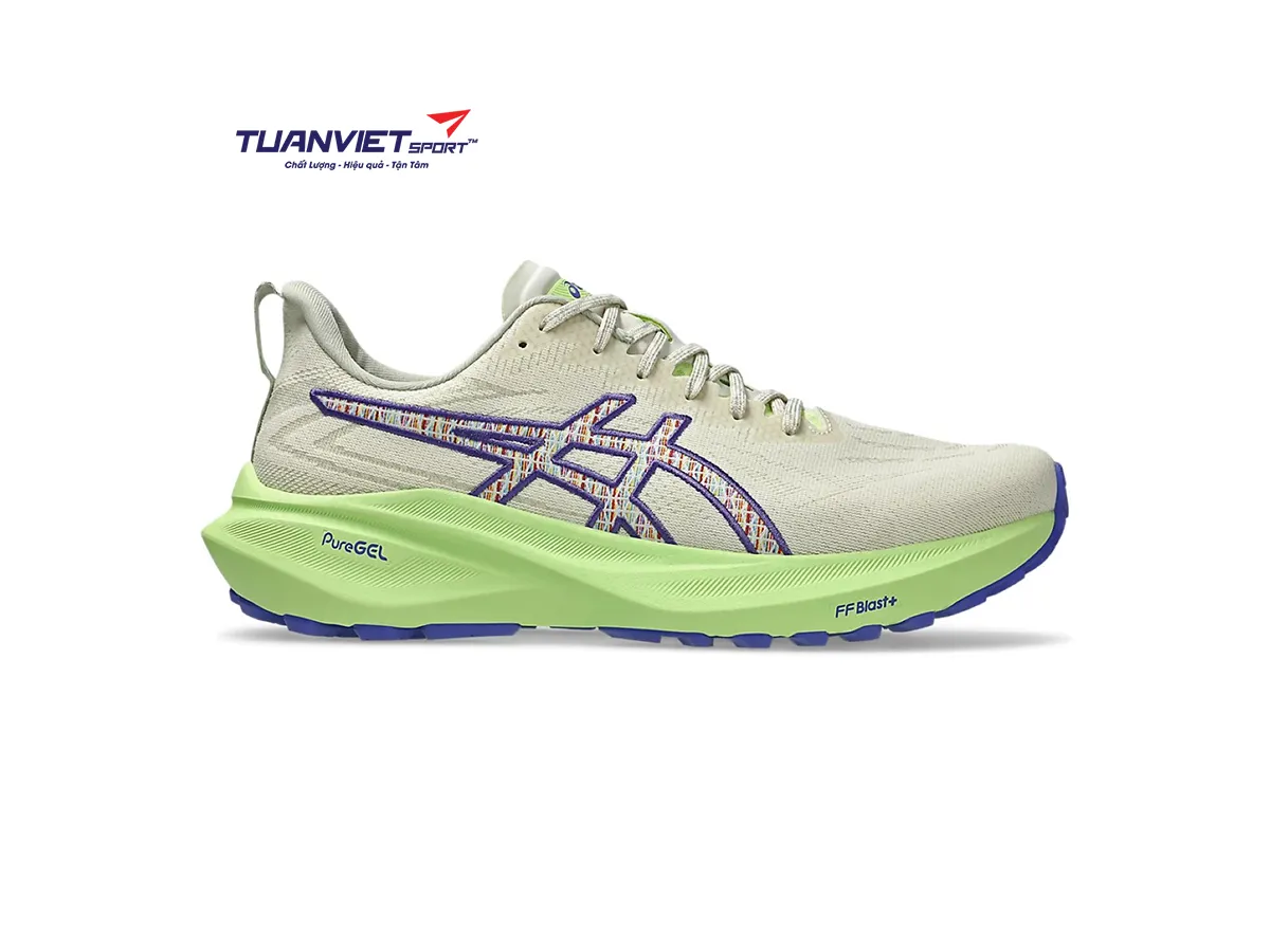Giày Chạy Bộ Nam Asics GT-2000 13 TR 1011C042-300