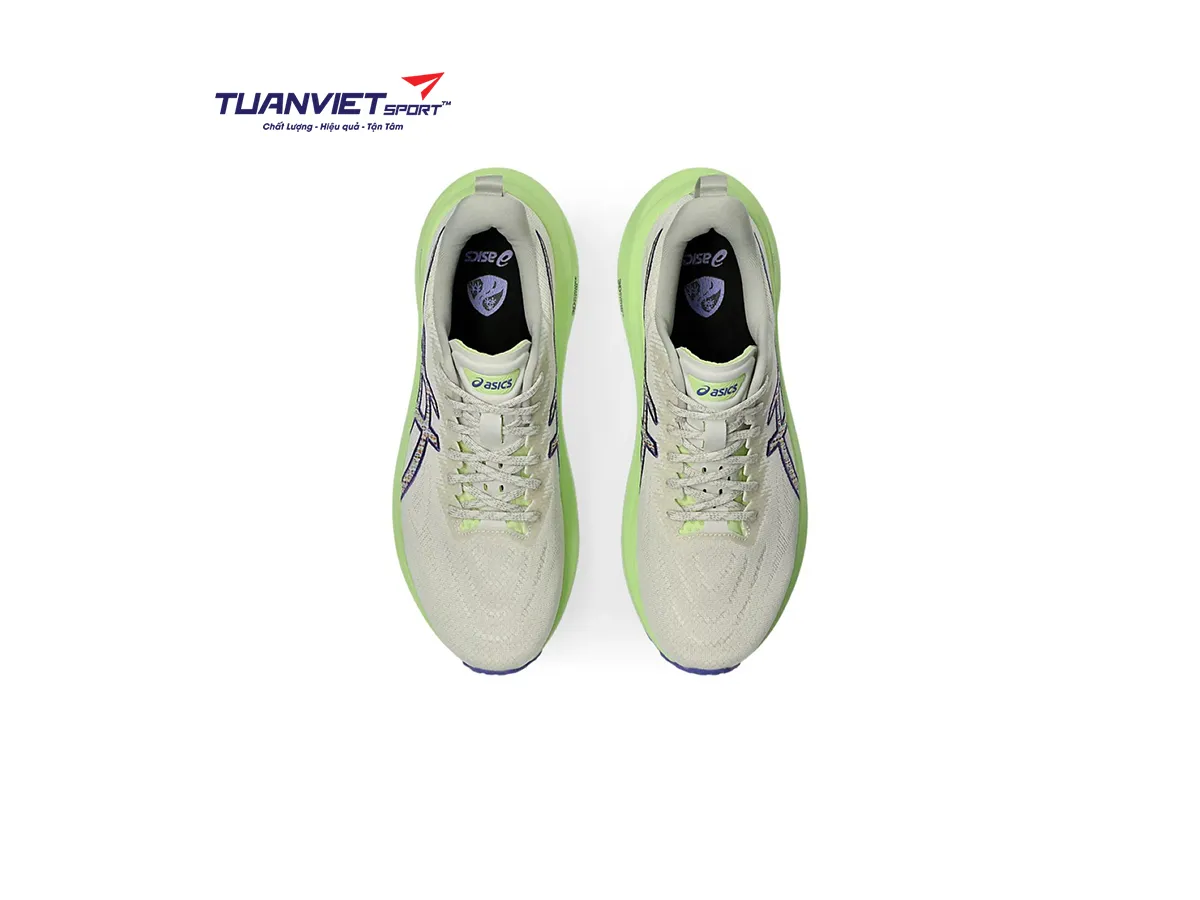 Giày Chạy Bộ Nam Asics GT-2000 13 TR 1011C042-300