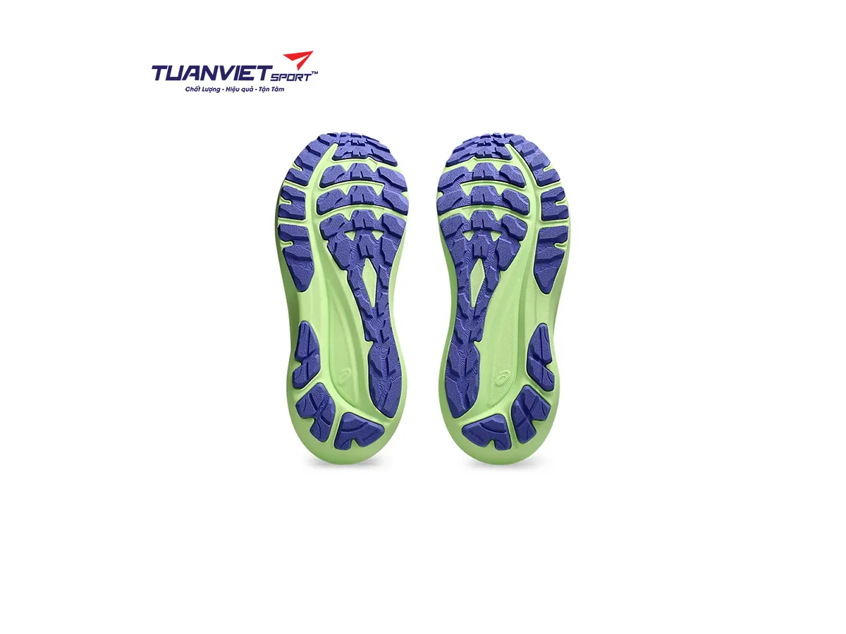 Giày Chạy Bộ Nam Asics GT-2000 13 TR 1011C042-300