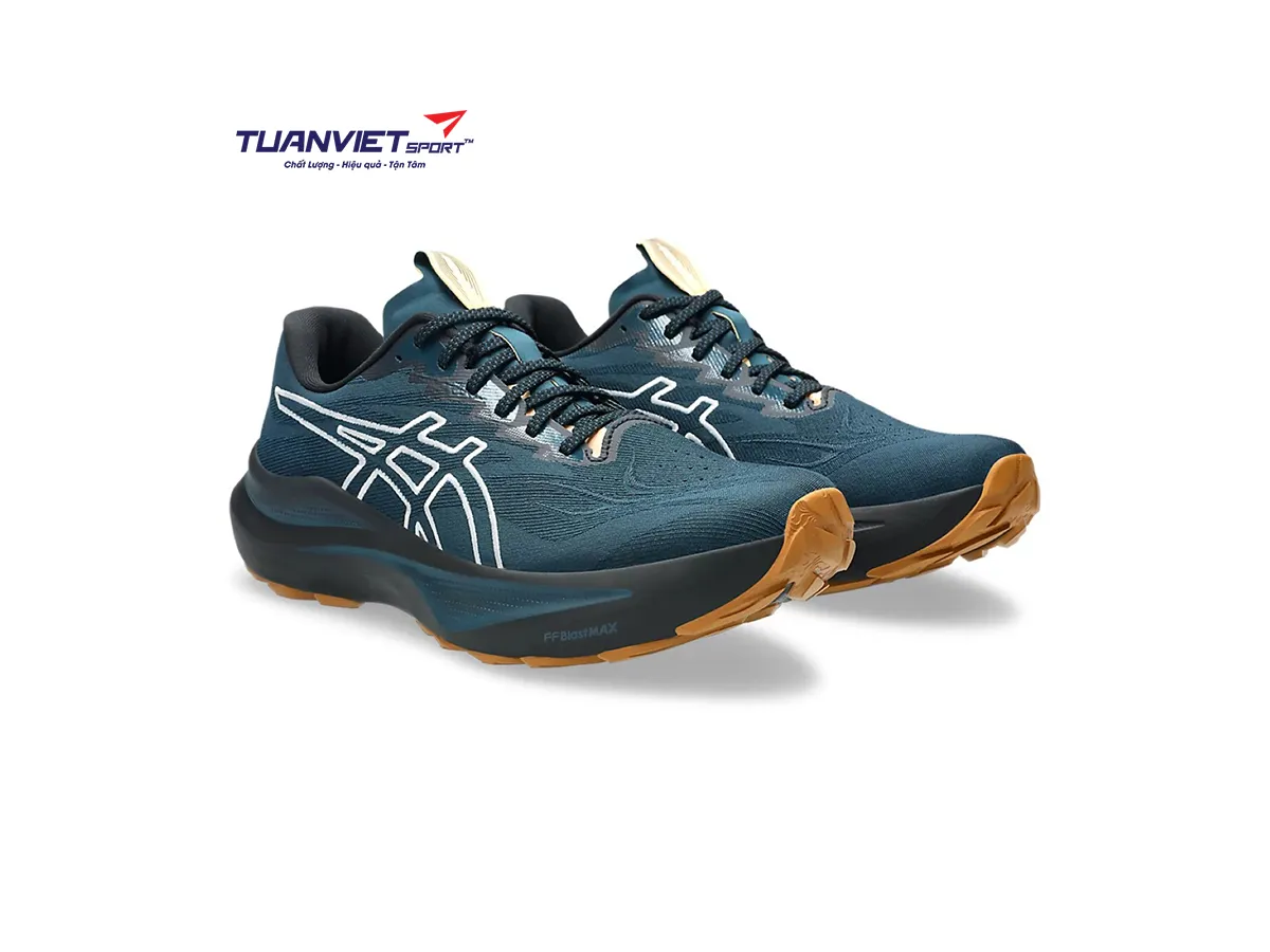 Giày Chạy Bộ Nam Asics GT-2000 14 TR 1011C129-300