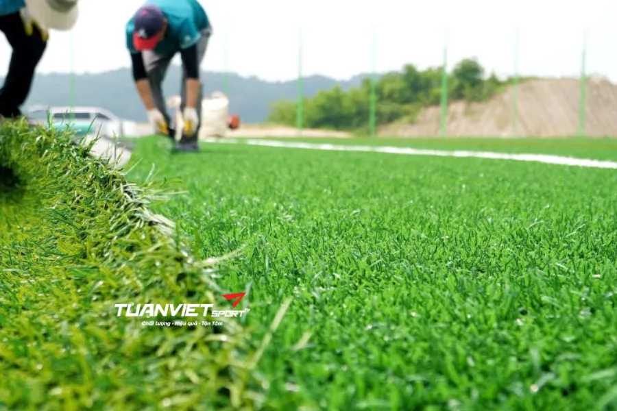 Thi công sân bóng đá cỏ tự nhiên và tiêu chuẩn