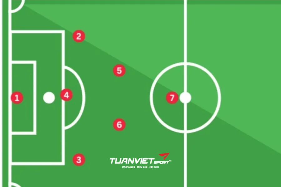 Tiêu Chuẩn Sân Bóng Đá 7 Người Theo Quy Định Chuẩn
