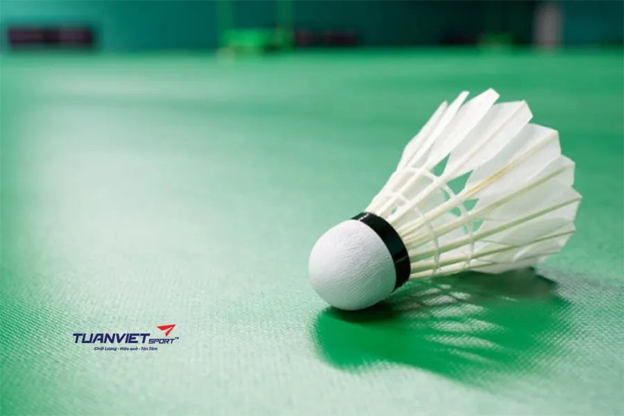 Quy trình thi công thảm sân cầu lông chuẩn thi đấu