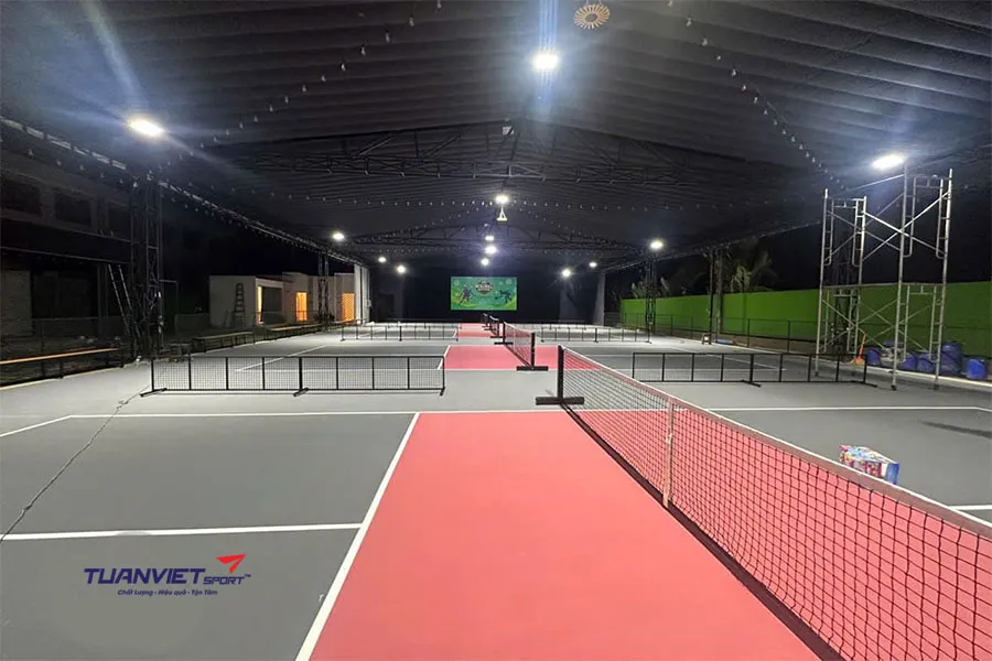 Top những màu sân pickleball đẹp và phổ biến hiện nay