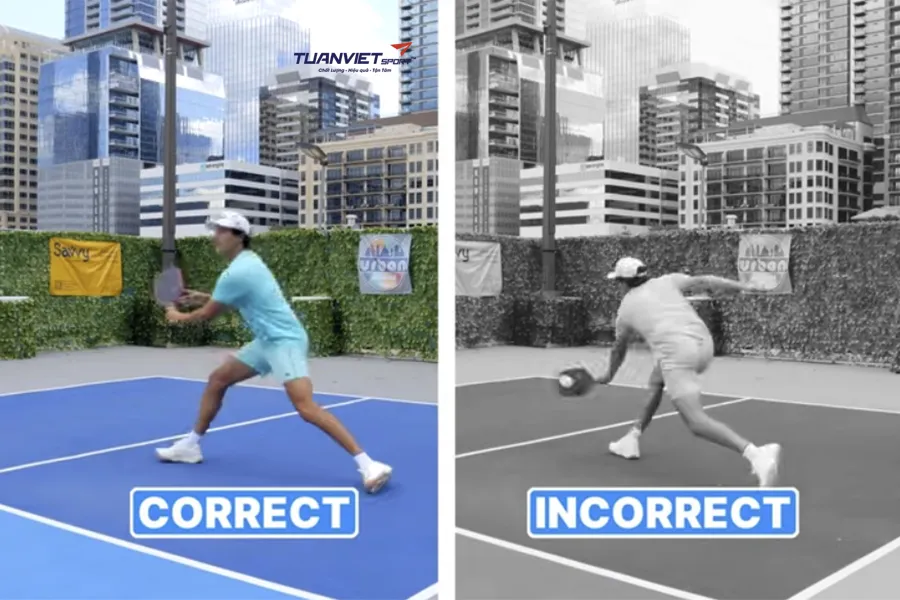 Chiến lược tấn công, làm chủ Transition zone trong Pickleball bạn nên biết