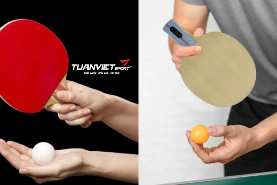 Cách cầm vợt bóng bàn đúng kỹ thuật (Shakehand & Penhold) – Nền tảng của cách chơi bóng bàn