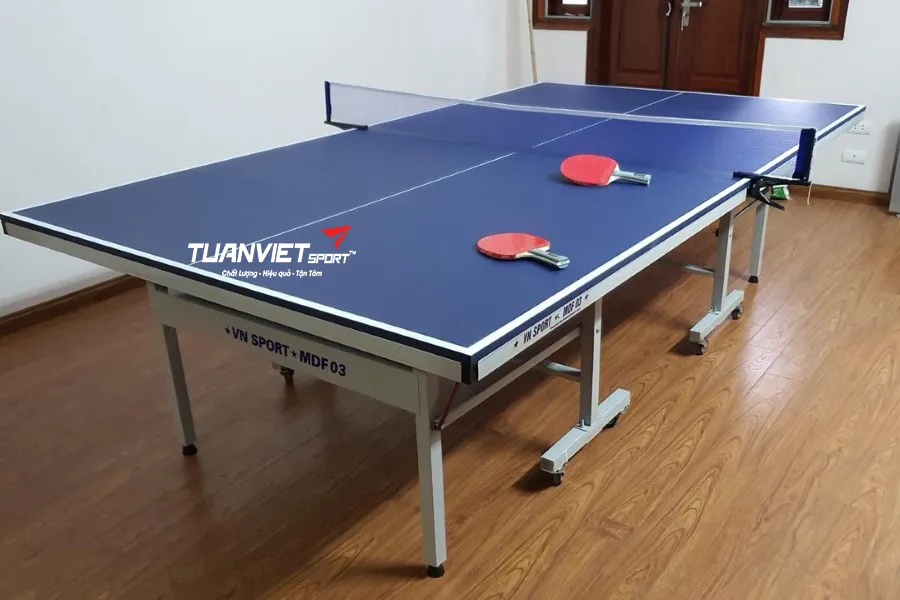 Cách Chọn Bàn Bóng Bàn Phù Hợp Cho Gia Đình, Trường Học Và CLB