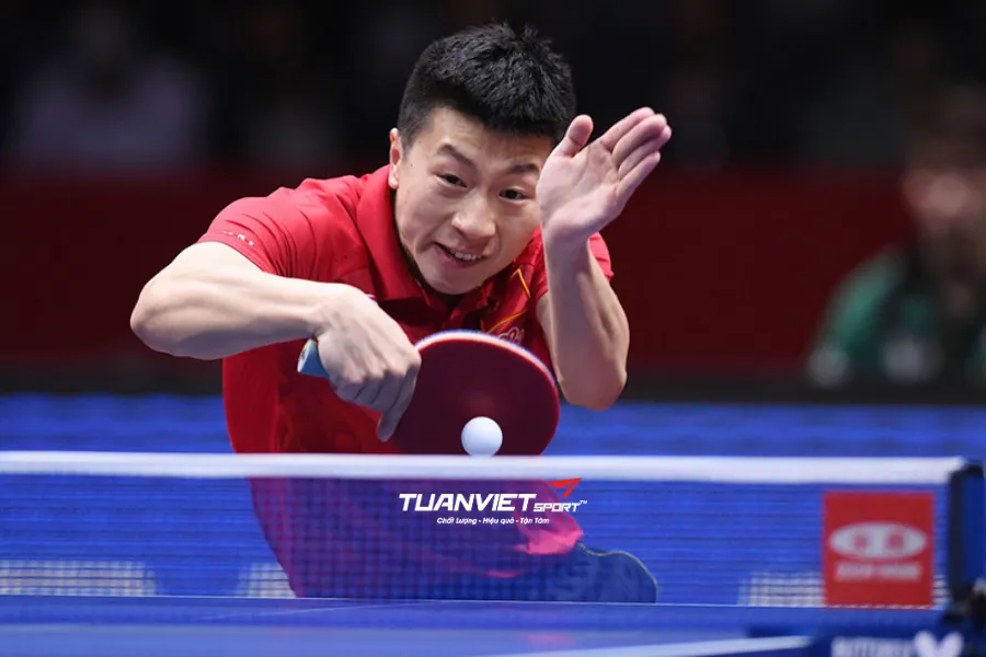 Cập nhật tất tần tật luật chơi bóng bàn mới nhất theo ITTF  đầy đủ và dễ hiểu