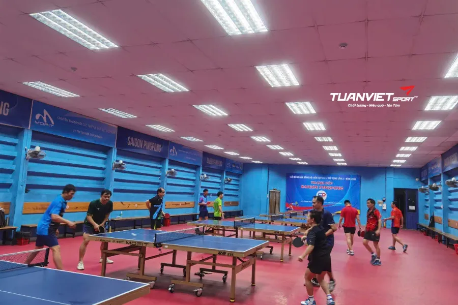 Top câu lạc bộ bóng bàn uy tín tại TP. Hồ Chí Minh – Địa chỉ luyện tập & giao lưu tốt nhất