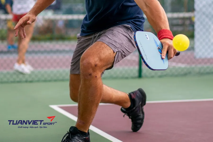 Từ Vựng Pickleball Quan Trọng Bạn Cần Biết