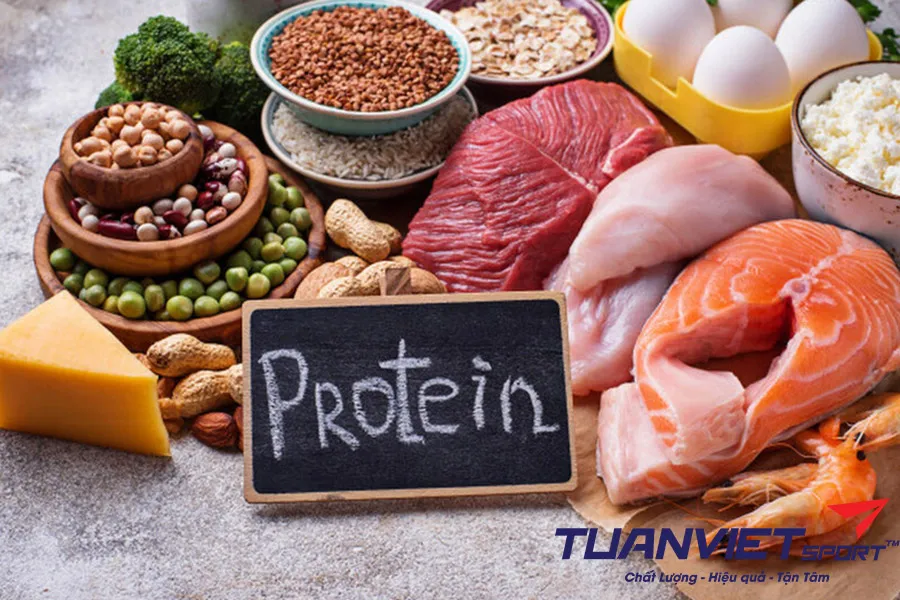 Vai trò của protein trong luyện tập thể thao phong trào