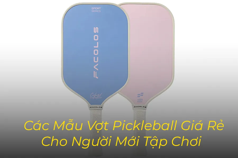 Top Các Mẫu Vợt Pickleball Giá Rẻ Cho Người Mới Tập Chơi - Dễ Đánh, Dễ Làm Quen