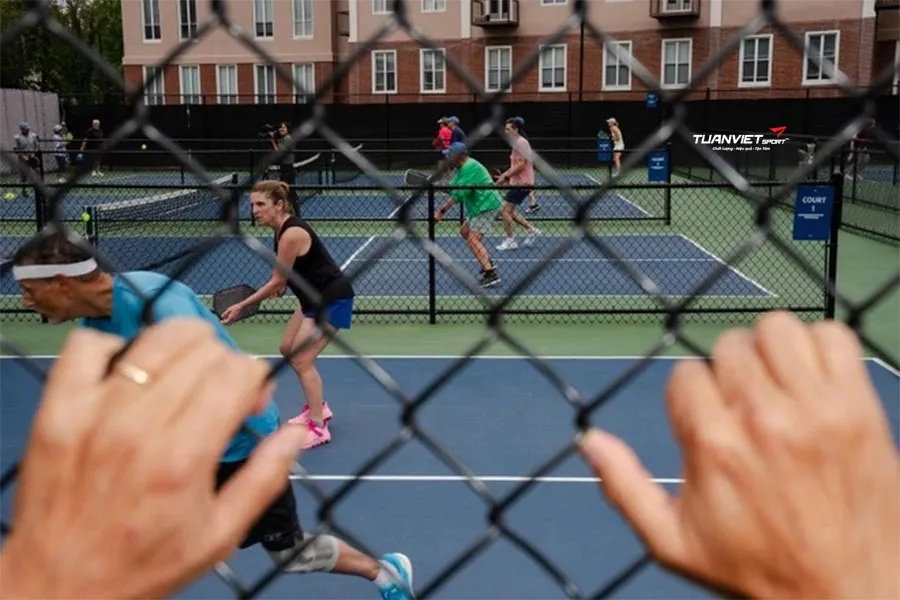 Thành phố California xem xét cấm Pickleball vì tiếng ồn