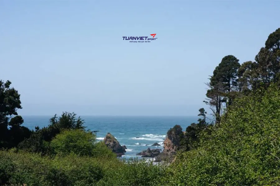 Trải nghiệm pickleball giữa thiên nhiên hoang sơ tại Mendocino Cove Resort California