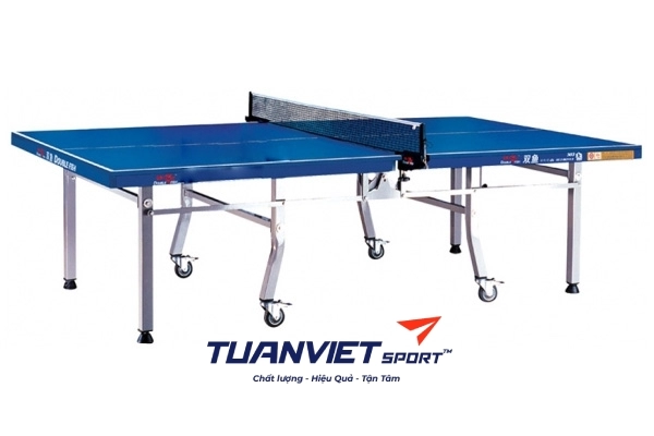 Bàn bóng bàn Double Fish DF-308