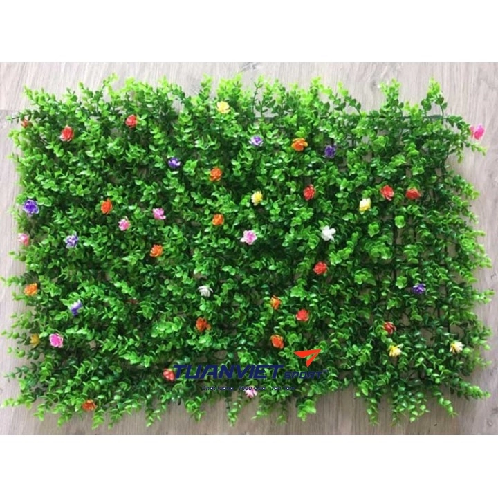 Cỏ Tai Chuột Giả Có Hoa