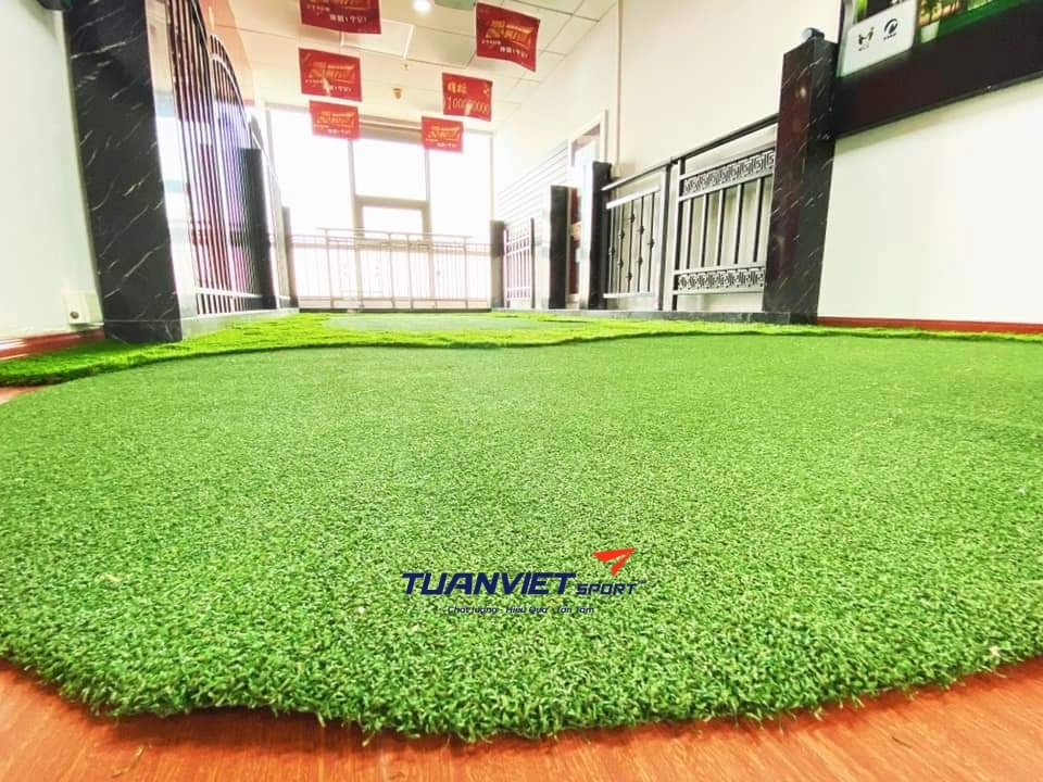 Cỏ sân golf TVC-G12