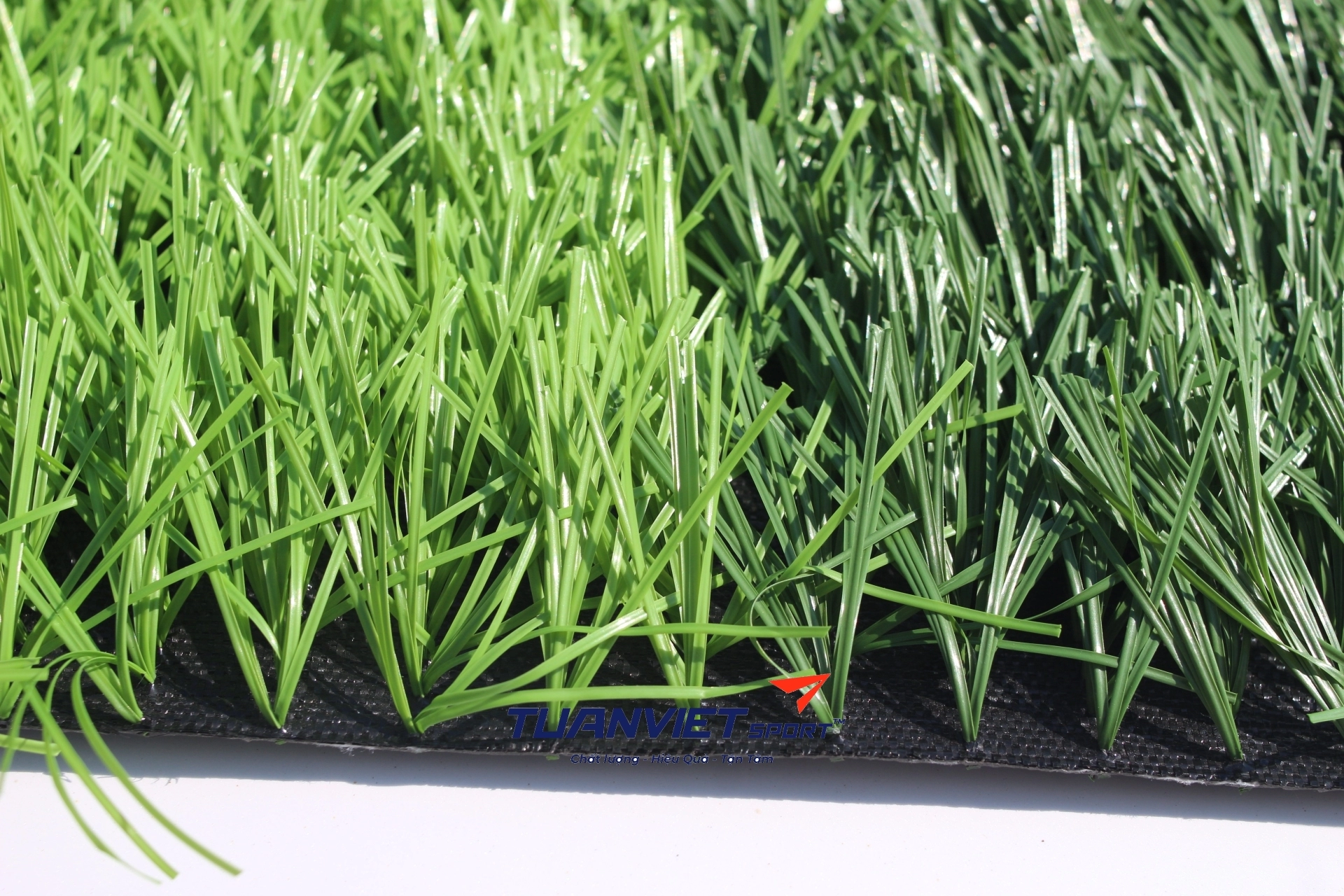 Cỏ nhân tạo sân bóng TFC581666P2