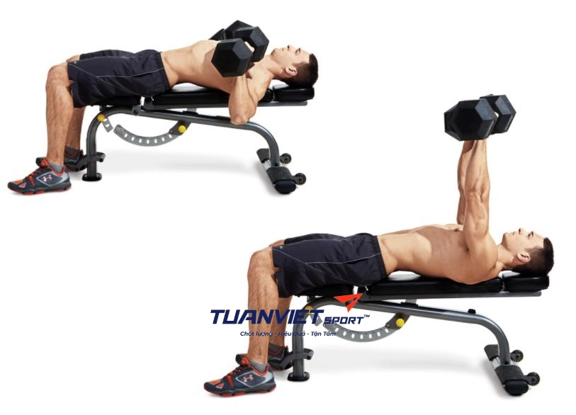 Ghế vớt tạ Xuki