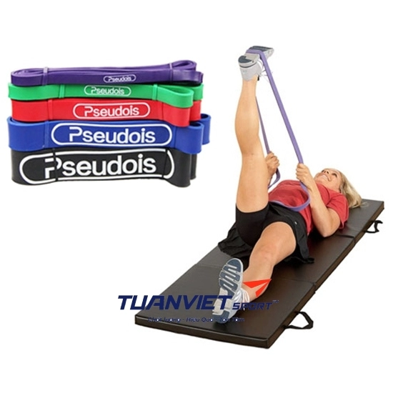 Bộ dây bản thun tập thể lực Pseudois 5 màu