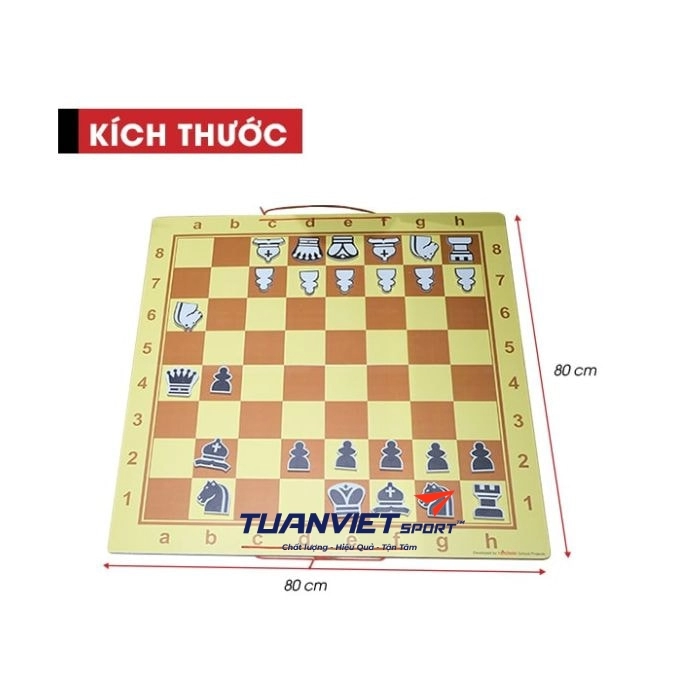 Bộ cờ vua giảng dạy