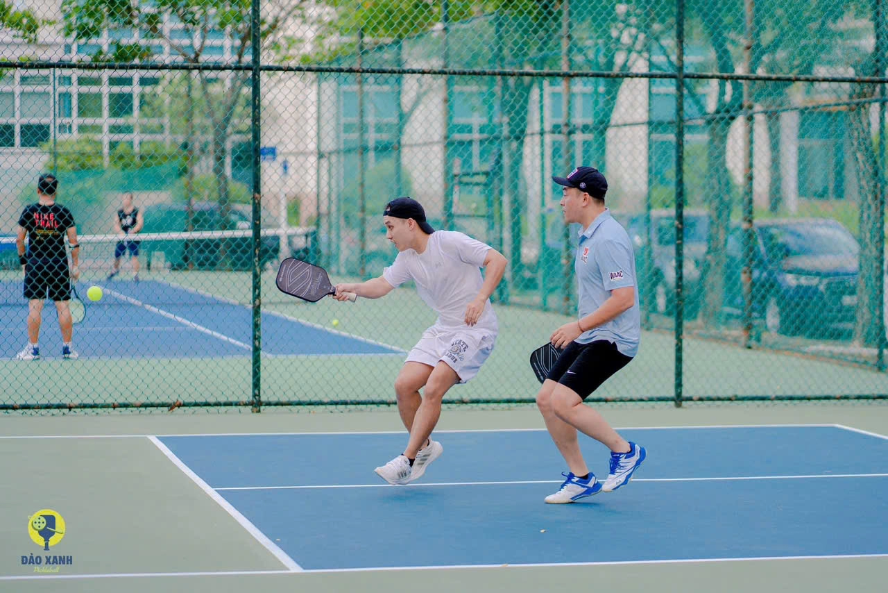 Đảo Xanh Pickleball