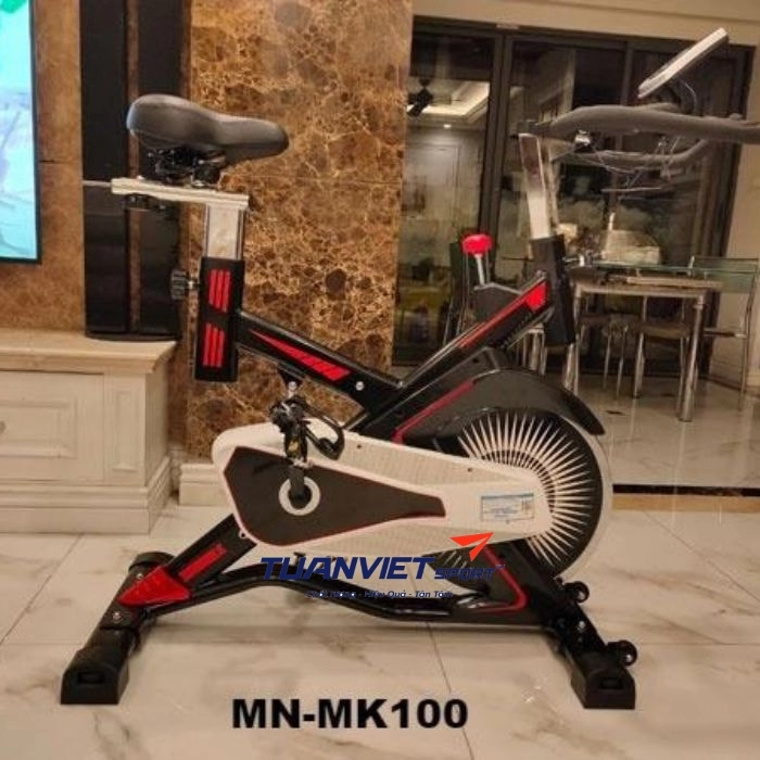 Xe đạp tập thể dục Fuji Luxury 