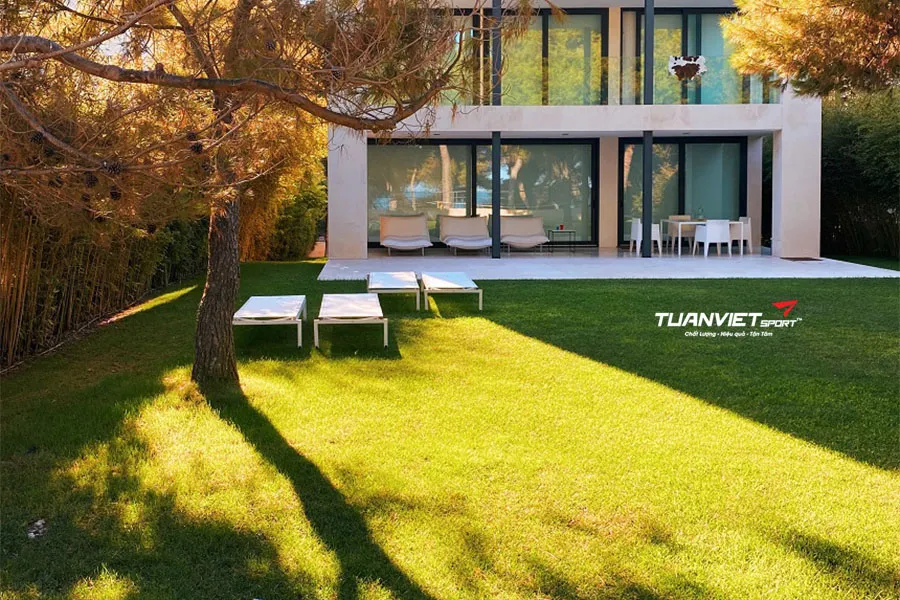 T&igrave;m Hiểu T&aacute;c Động Của Cỏ Nh&acirc;n Tạo Đến Sức Khỏe Trẻ Em