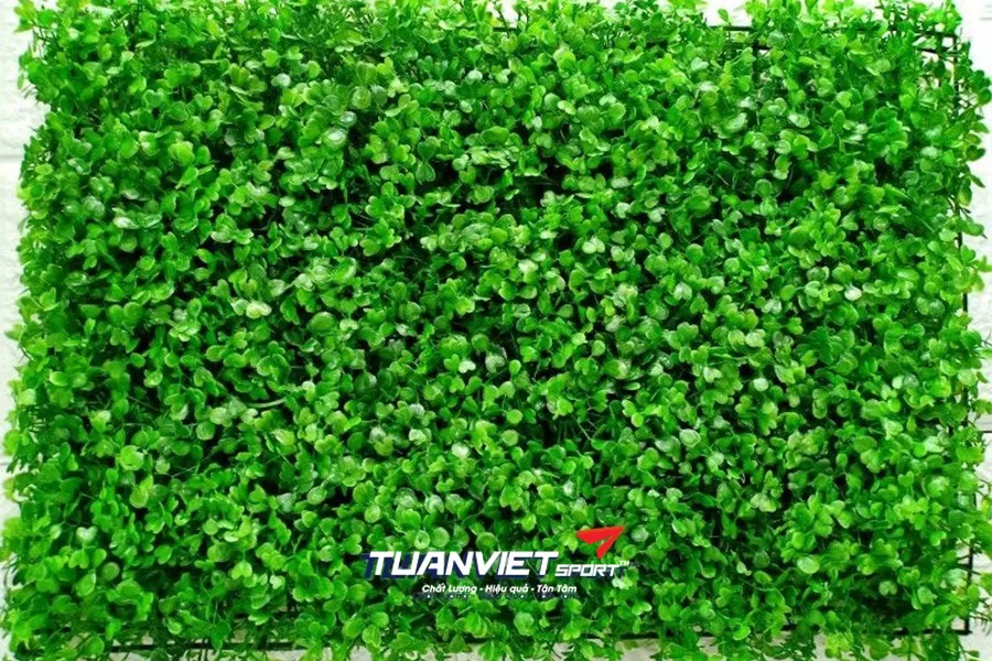 Bảng gi&aacute; thảm cỏ nh&acirc;n tạo năm 2026 cập nhật mới nhất theo từng loại
