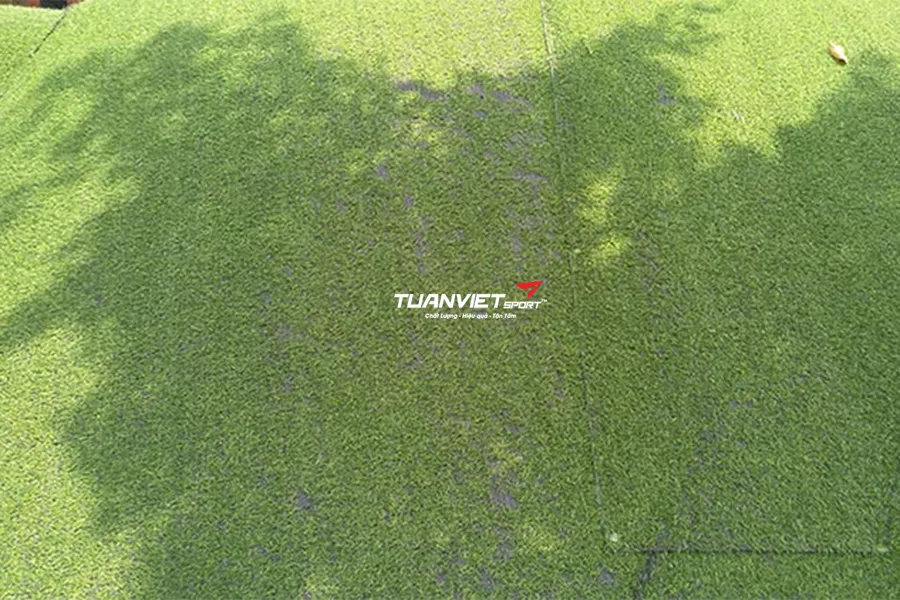 Cách phân biệt cỏ nhân tạo chất lượng và kém chất lượng trước khi thi công