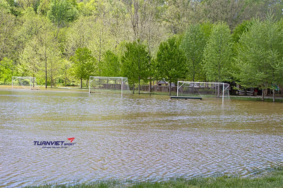 C&aacute;ch xử l&yacute; s&acirc;n cỏ nh&acirc;n tạo bị ngập nước hiệu quả