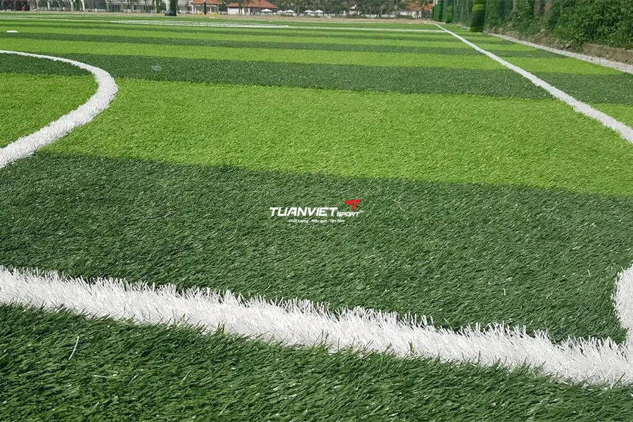Ch&iacute;nh s&aacute;ch đại l&yacute; cỏ nh&acirc;n tạo Tuấn Việt Sport ưu đ&atilde;i gi&aacute; sỉ cực tốt 