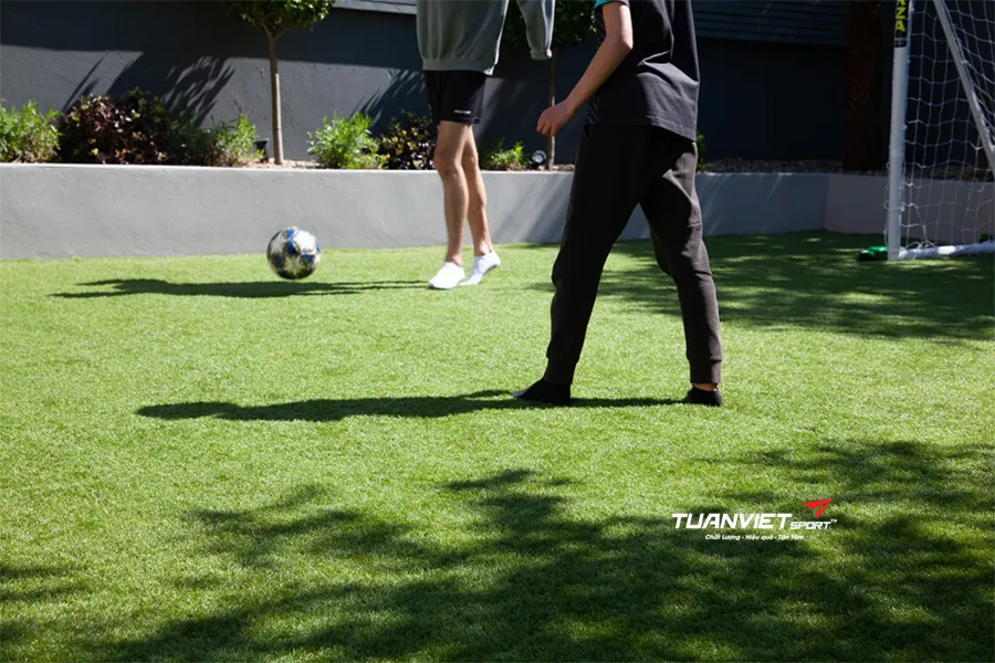 Cỏ nh&acirc;n tạo loại cao cấp v&agrave; gi&aacute; rẻ c&oacute; g&igrave; kh&aacute;c nhau?