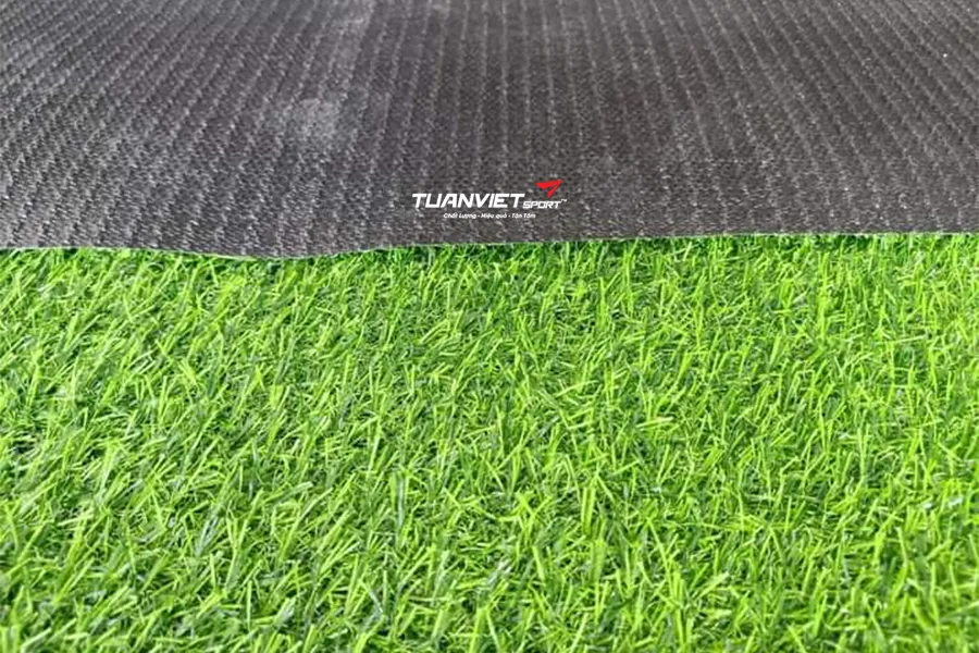 Cỏ nh&acirc;n tạo loại cao cấp v&agrave; gi&aacute; rẻ c&oacute; g&igrave; kh&aacute;c nhau?