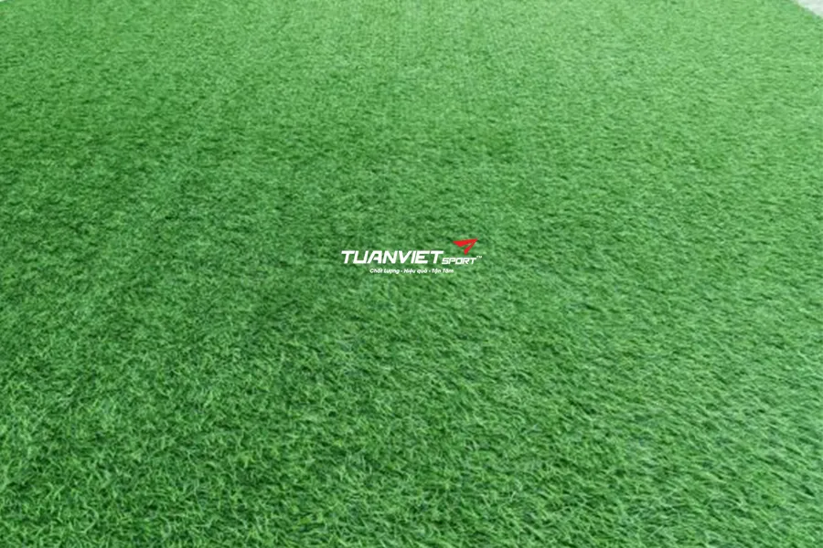 Những sai lầm đắt giá khiến bạn mất tiền oan khi thi công cỏ nhân tạo